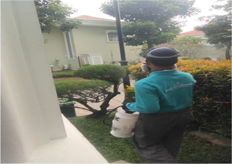Teknisi ISTA PEST melakukan treatment di area luar bangunan