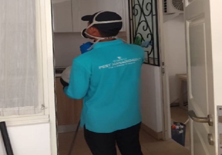 Teknisi ISTA PEST melakukan treatment hama di dalam ruangan